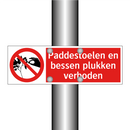 Paddestoelen en bessen plukken verboden