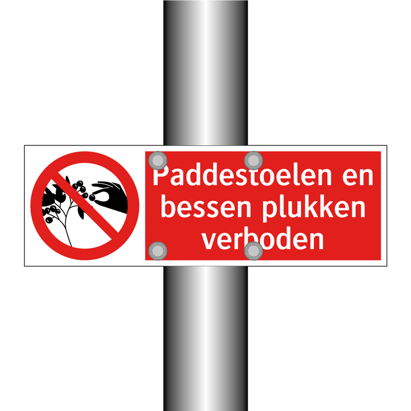 Paddestoelen en bessen plukken verboden
