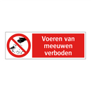 Voeren van meeuwen verboden