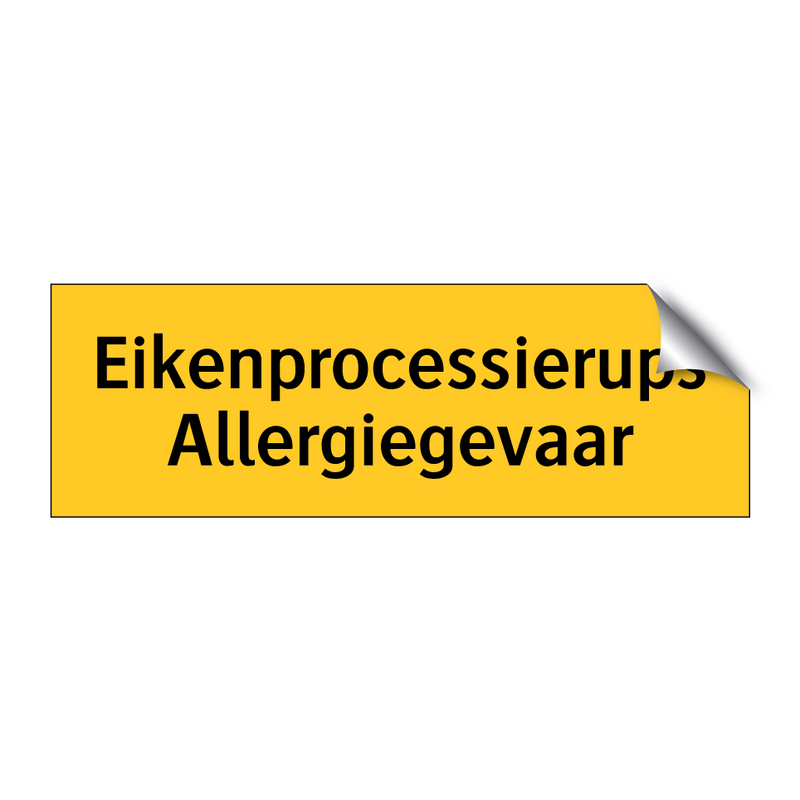 Eikenprocessierups Allergiegevaar