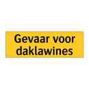 Gevaar voor daklawines