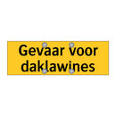 Gevaar voor daklawines