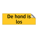 De hond is los