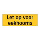 Let op voor eekhoorns