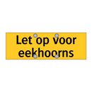 Let op voor eekhoorns