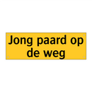 Jong paard op de weg