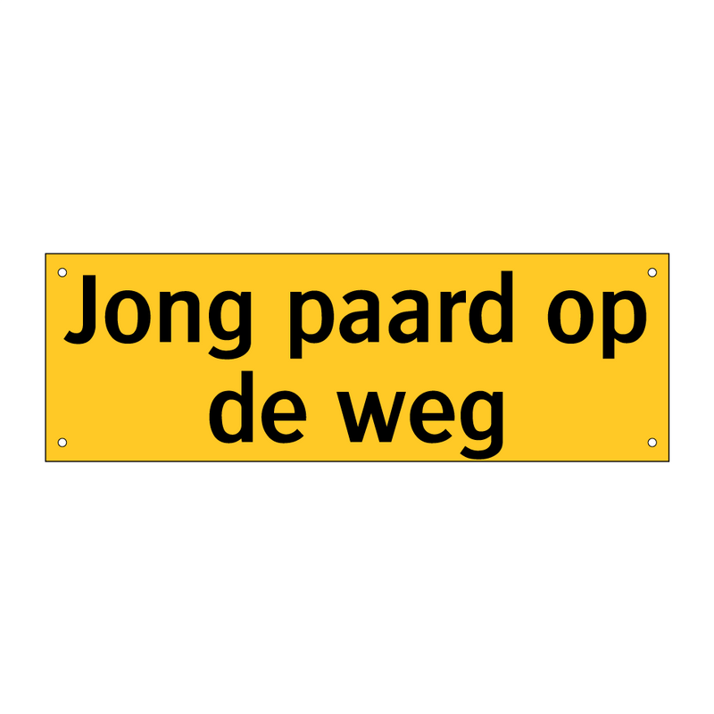 Jong paard op de weg