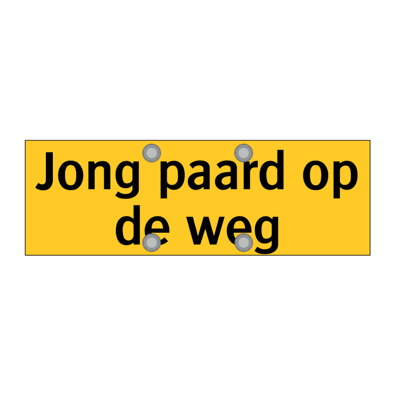 Jong paard op de weg
