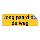 Jong paard op de weg