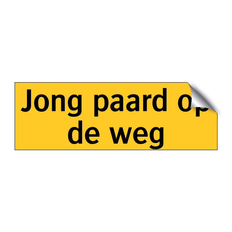 Jong paard op de weg