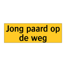 Jong paard op de weg