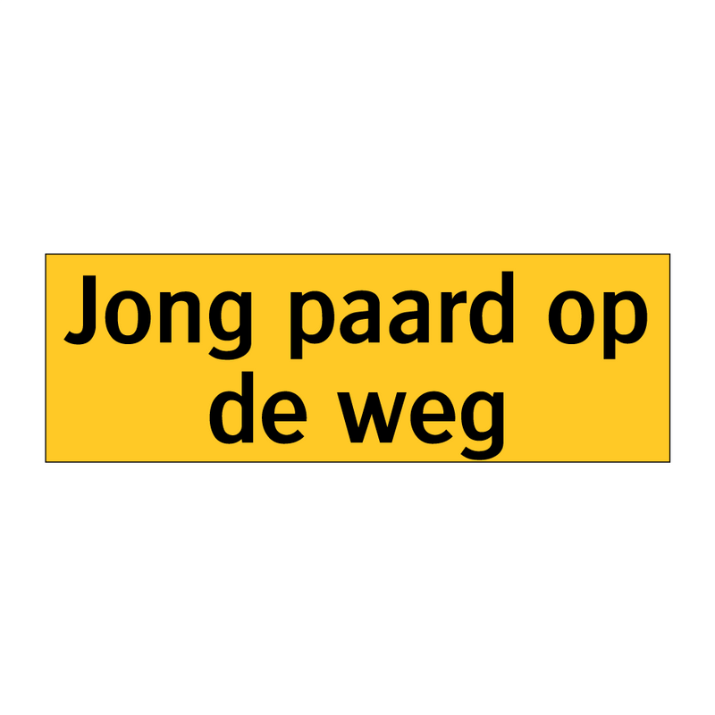Jong paard op de weg