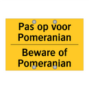 Pas op voor Pomeranian - Beware of Pomeranian