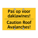 Pas op voor daklawines! - Caution Roof Avalanches!