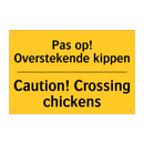 Pas op! Overstekende kippen - Caution! Crossing chickens