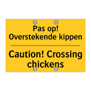 Pas op! Overstekende kippen - Caution! Crossing chickens