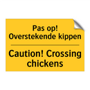 Pas op! Overstekende kippen - Caution! Crossing chickens