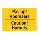 Pas op! Hoornaars - Caution! Hornets