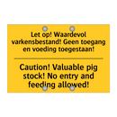 Let op! Waardevol varkensbestand! /.../ - Caution! Valuable pig stock! No /.../
