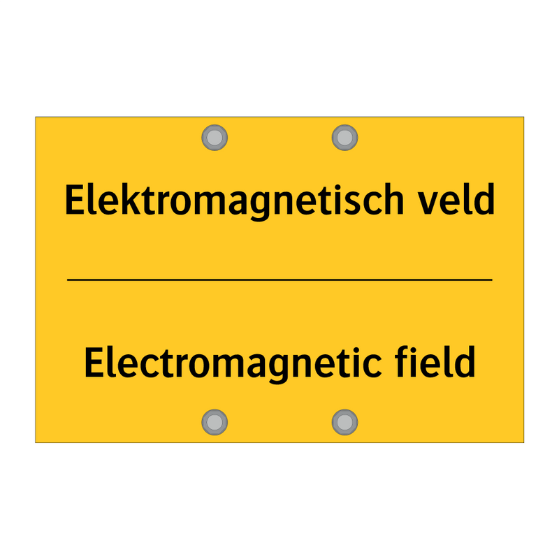 Elektromagnetisch veld - Electromagnetic field