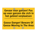 Gevaar voor ganzen! Pas op voor /.../ - Goose Danger! Beware Of Geese /.../