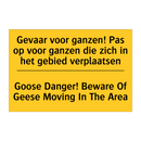 Gevaar voor ganzen! Pas op voor /.../ - Goose Danger! Beware Of Geese /.../