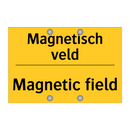 Magnetisch veld - Magnetic field
