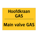Hoofdkraan GAS - Main valve GAS