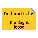 De hond is los - The dog is loose