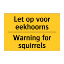 Let op voor eekhoorns - Warning for squirrels