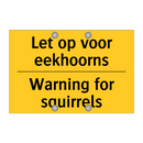 Let op voor eekhoorns - Warning for squirrels