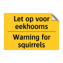Let op voor eekhoorns - Warning for squirrels