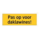 Pas op voor daklawines!