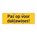 Pas op voor daklawines!