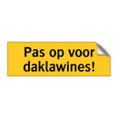 Pas op voor daklawines!