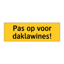 Pas op voor daklawines!