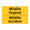 Wildlife Ongeval - Wildlife Accident