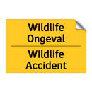 Wildlife Ongeval - Wildlife Accident