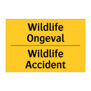 Wildlife Ongeval - Wildlife Accident