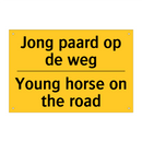 Jong paard op de weg - Young horse on the road