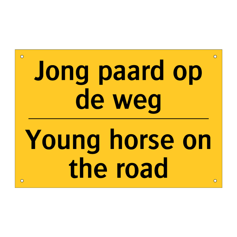 Jong paard op de weg - Young horse on the road