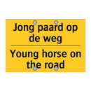 Jong paard op de weg - Young horse on the road