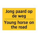 Jong paard op de weg - Young horse on the road