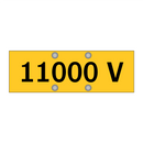 11000 V
