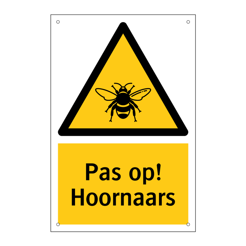 Pas op! Hoornaars