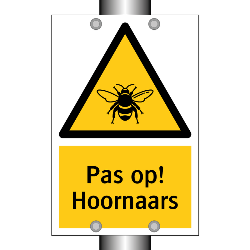 Pas op! Hoornaars