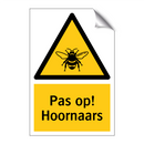 Pas op! Hoornaars