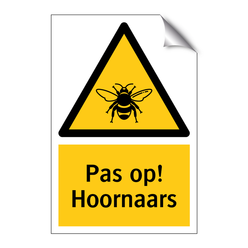 Pas op! Hoornaars