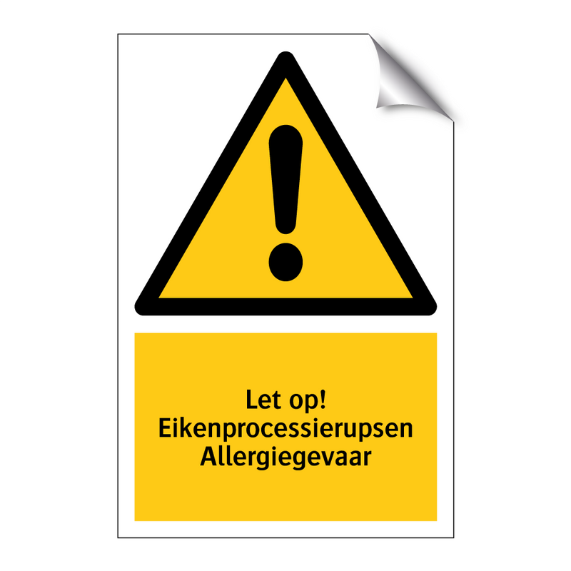 Let op! Eikenprocessierupsen Allergiegevaar