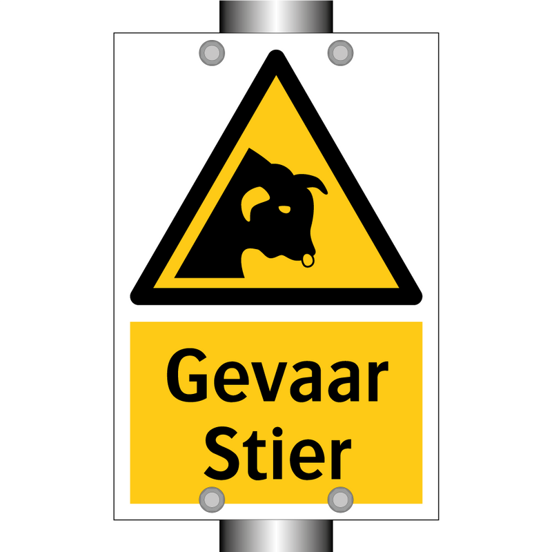 Gevaar Stier
